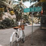 follow-that-dream